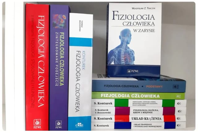 Ile waży podręcznik do fizyki? Zaskakujące fakty o jego wadze Ile waży podręcznik do fizyki? Zaskakujące fakty o jego wadze