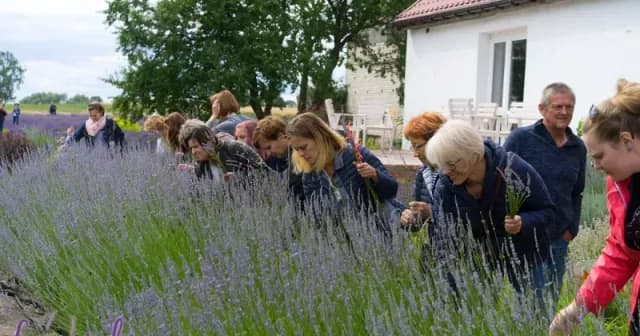 Zagroda edukacyjna jak założyć - uniknij najczęstszych błędów Zagroda edukacyjna jak założyć - uniknij najczęstszych błędów
