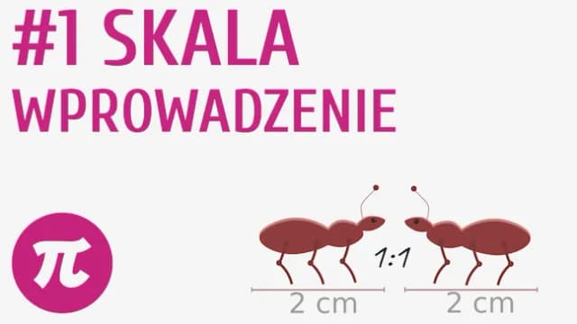 Co to jest skala w matematyce? Zrozumienie i zastosowanie w praktyce Co to jest skala w matematyce? Zrozumienie i zastosowanie w praktyce