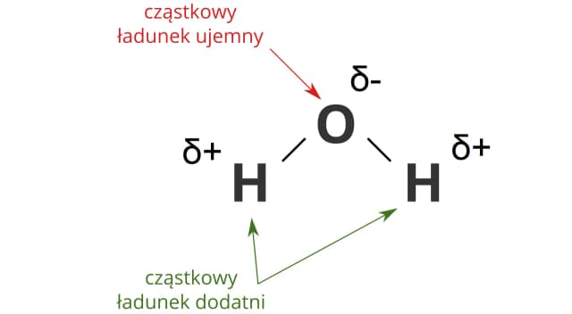 Ile atomów ma cząsteczka wody i dlaczego to ważne w chemii? Ile atomów ma cząsteczka wody i dlaczego to ważne w chemii?